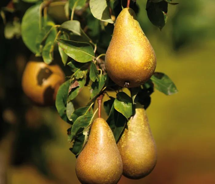 1660815253213216.jpg 0013.jpg